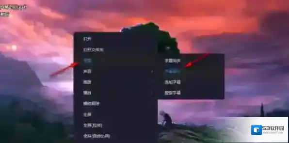 恒星播放器字幕