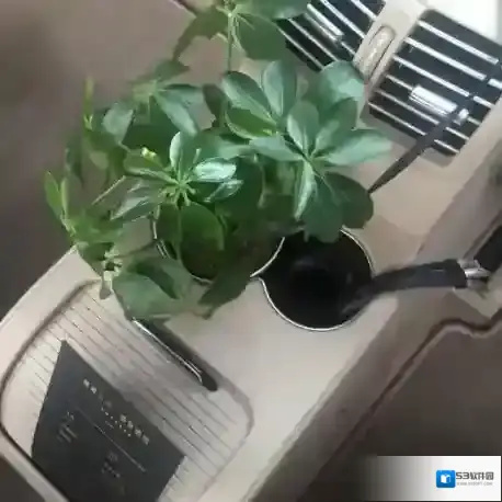 滴滴出行东西