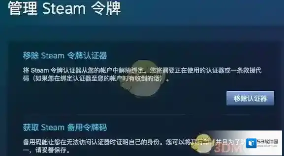 Steam代码