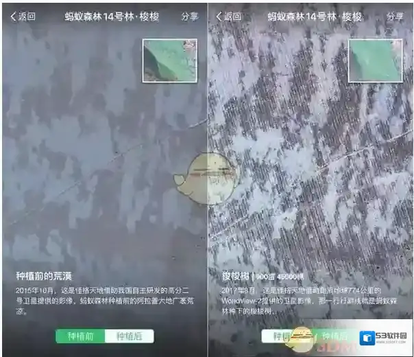 支付宝线上看