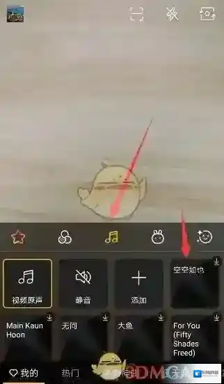 DOV拍照