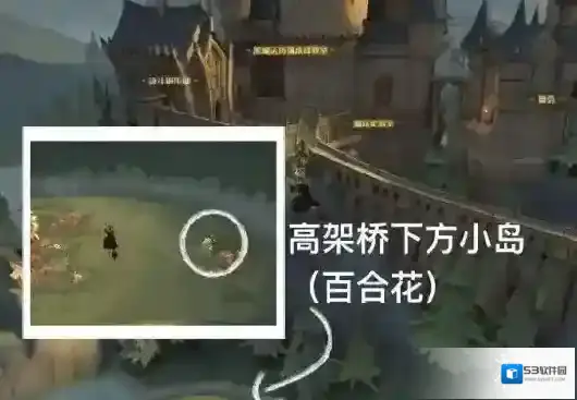 哈利波特4月14日彩蛋在哪 哈利波特今日彩蛋位置分享
