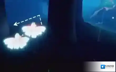 光遇雨林