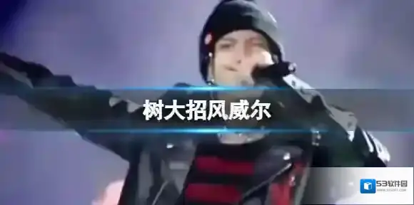 树大招风威尔 树大招风完整版威尔