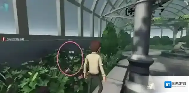 网易第五人格颠茄