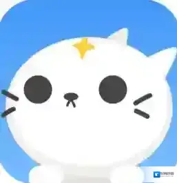 《偷星猫》发展方向介绍