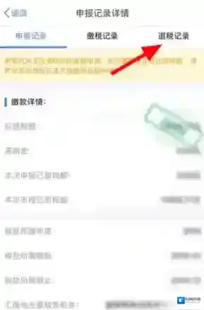个人所得税申报