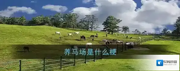 养马场是什么梗