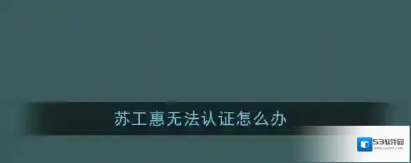 《苏工惠》无法实名认证解决办法