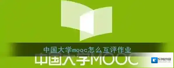 《中国大学MOOC》互评教程
