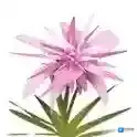 迷你世界香溢