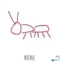 QQ蚂蚁