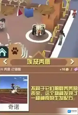 疯狂动物园游客