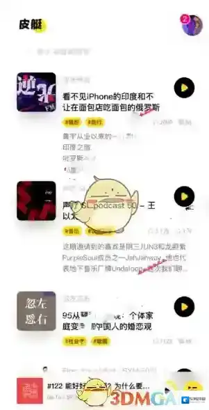 皮艇内容