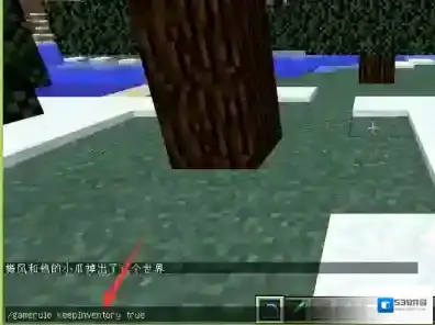 我的世界指令