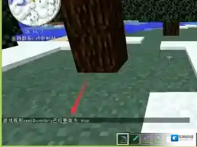我的世界是什么