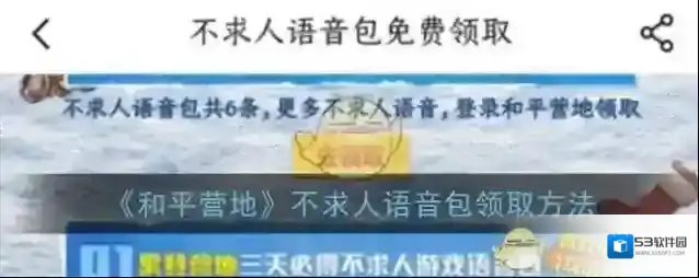和平营地营地
