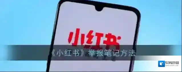 小红书举报