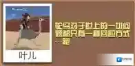 疯狂动物园鸵鸟