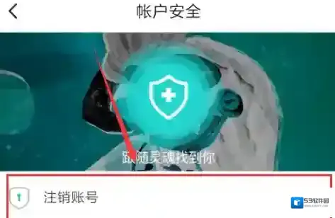Soul注销