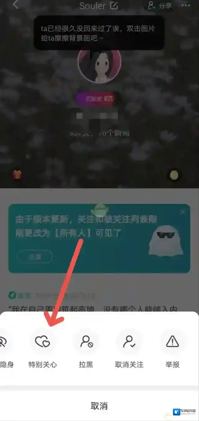 Soul用户