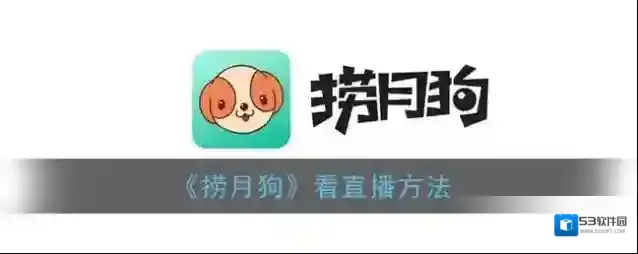 捞月狗直播