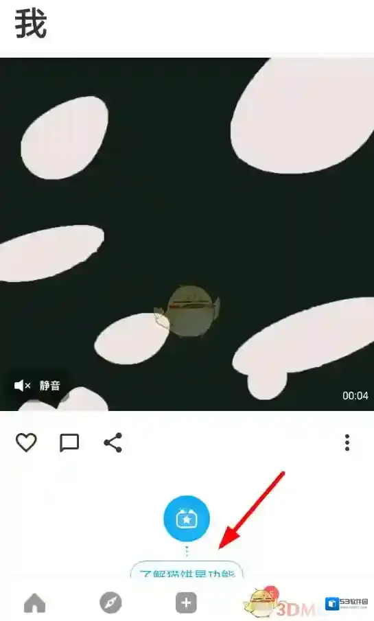 猫饼视频素材