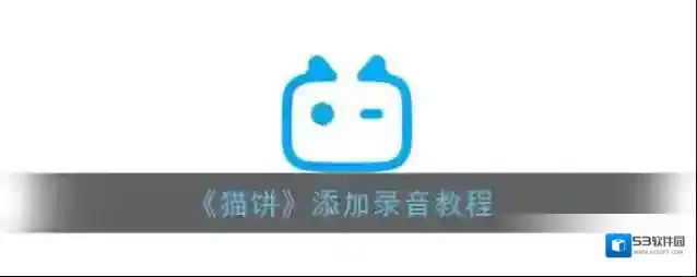 猫饼录音