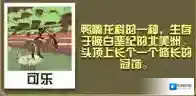 疯狂动物园副栉龙