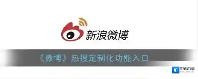 微博定制