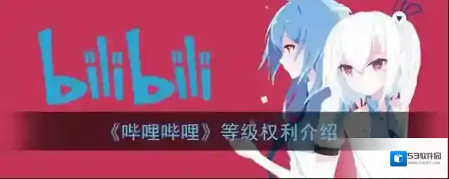 《哔哩哔哩》等级权利介绍