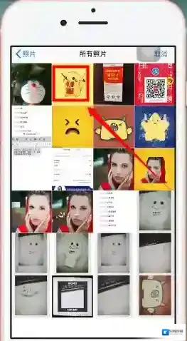 nomo相机相册照片