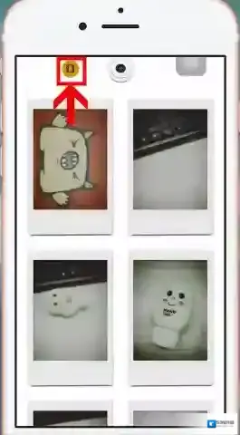 nomo相机黄色
