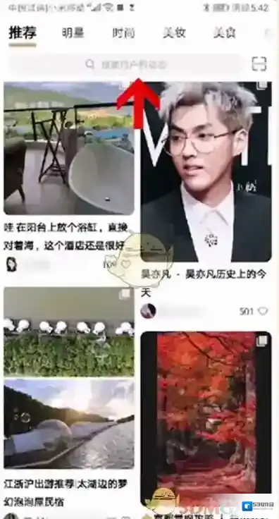 新浪绿洲绿洲
