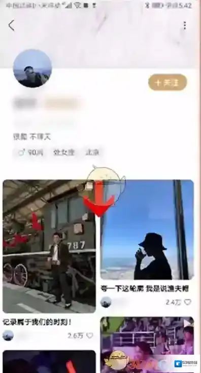 新浪绿洲微博关注