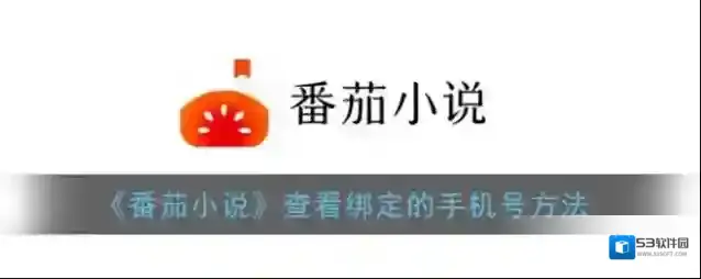 番茄小说点击