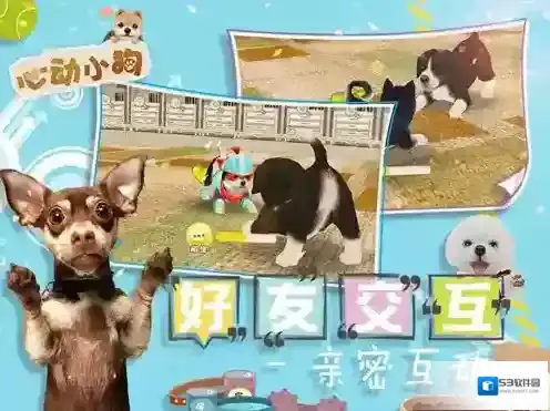 心动小狗怎么留言 留言方法详解