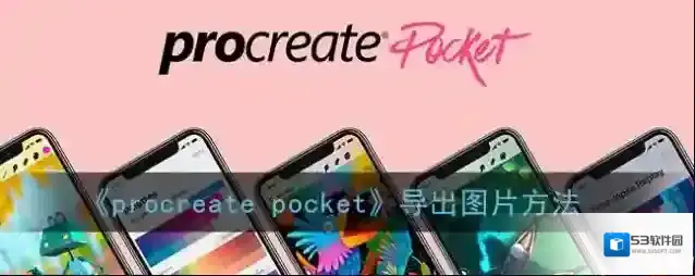 Procreate Pocket共享