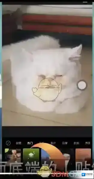 醒图选项