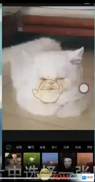 醒图贴纸