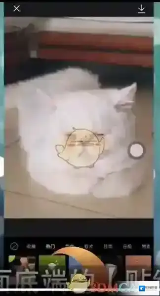 醒图导入