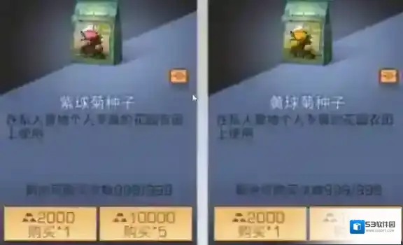 明日之后紫球菊种子怎么得?明日之后紫球菊种子获取与作用解析