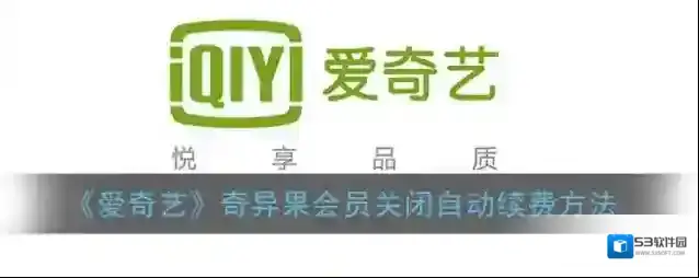 爱奇艺视频点击