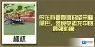 疯狂动物园甲龙