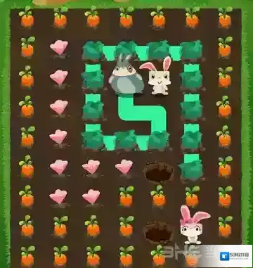 兔子复仇记五针松17关怎么过 Patchmania五针松第17关攻略