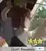 FGO掉落