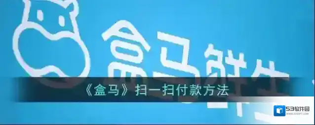 《盒马》扫一扫付款方法