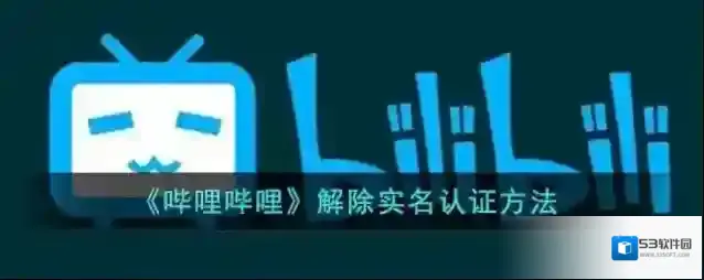 哔哩哔哩选项