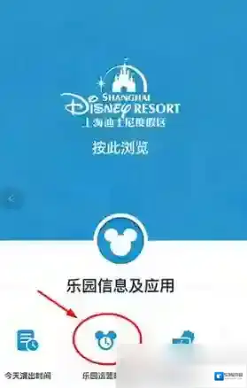 上海迪士尼度假区定制