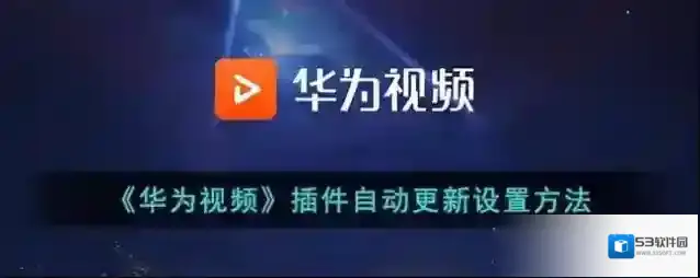 华为视频选项